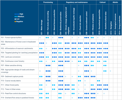 Ecosystem Services - Forest